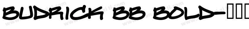 Budrick BB Bold字体转换